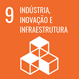  9 – INDÚSTRIA, INOVAÇÃO E INFRAESTRUTURA